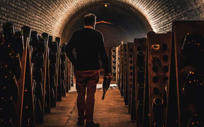 Champagne Cellars